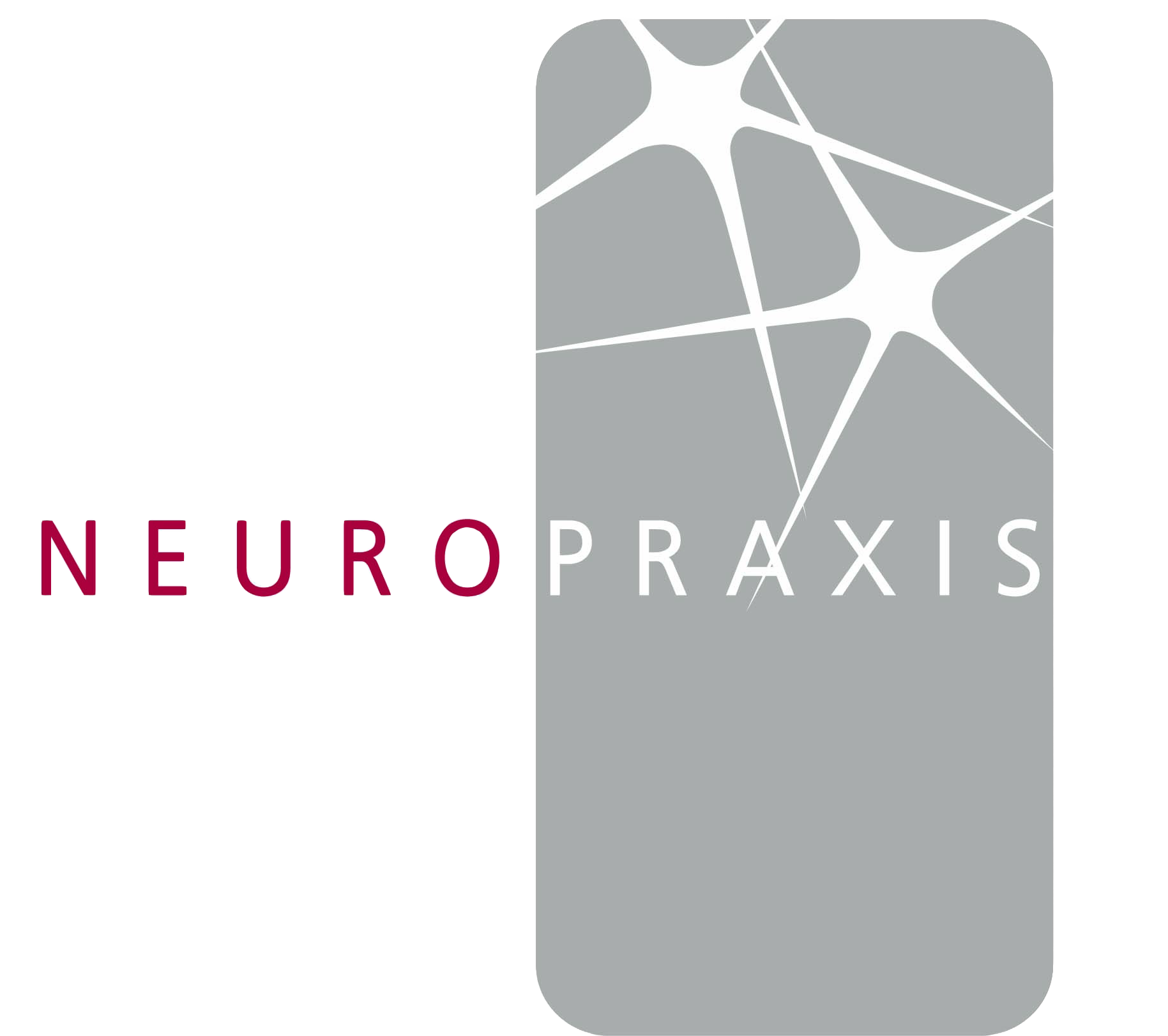 Logo Neuropraxis Leipzig
